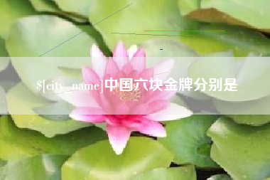 丽水中国六块金牌分别是