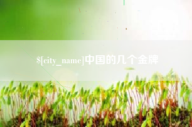 丽水中国的几个金牌