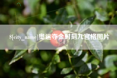 丽水奥运夺金时刻九宫格图片