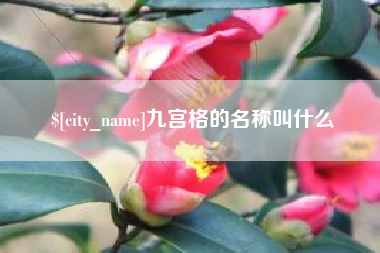 丽水九宫格的名称叫什么