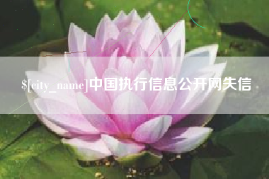 丽水中国执行信息公开网失信