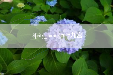 丽水2022九宫