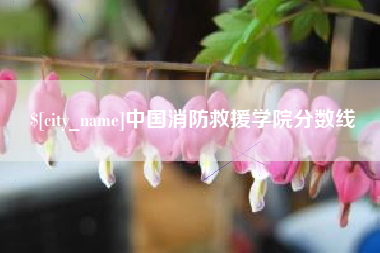 丽水中国消防救援学院分数线