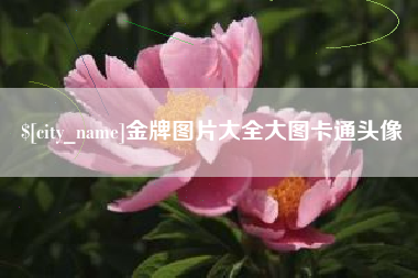 丽水金牌图片大全大图卡通头像