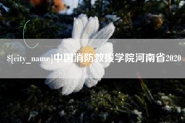 丽水中国消防救援学院河南省2020